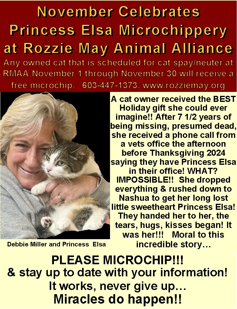 November Microchip Promo