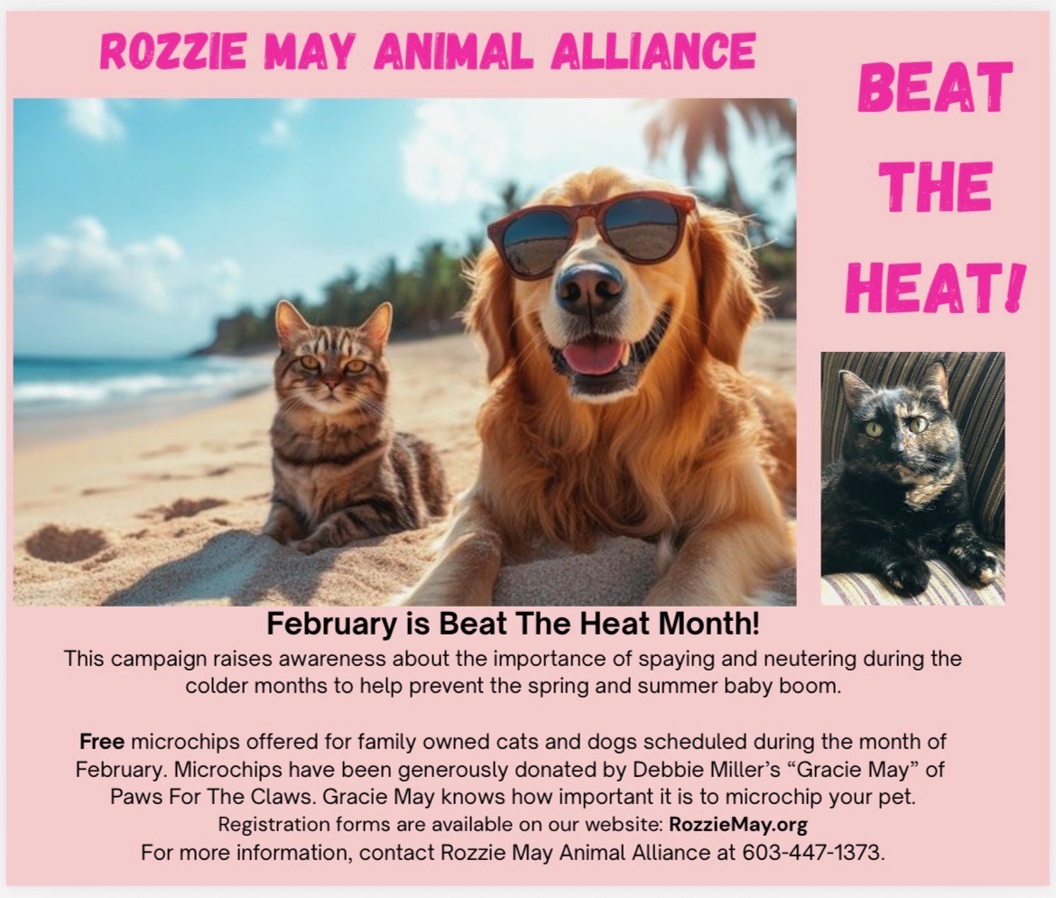 Free Microchips in Feb.