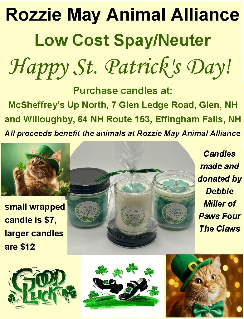 Free Microchips in Feb.